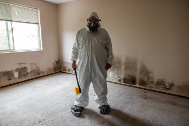 Trusted Boothwyn, PA Mold Remediation Experts
